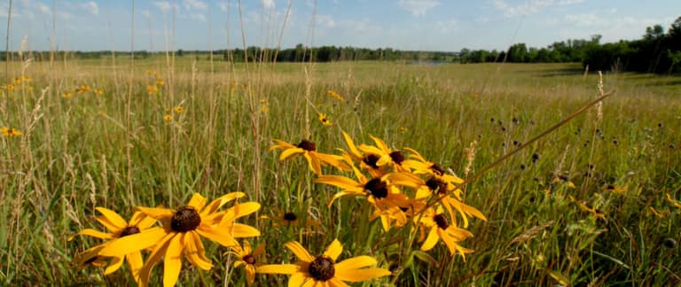 Where to Make Reservations — Three Rivers Park District