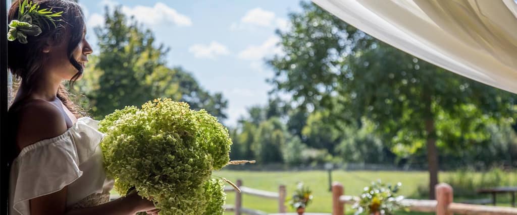 Wedding & Rental Spaces — Three Rivers Park District